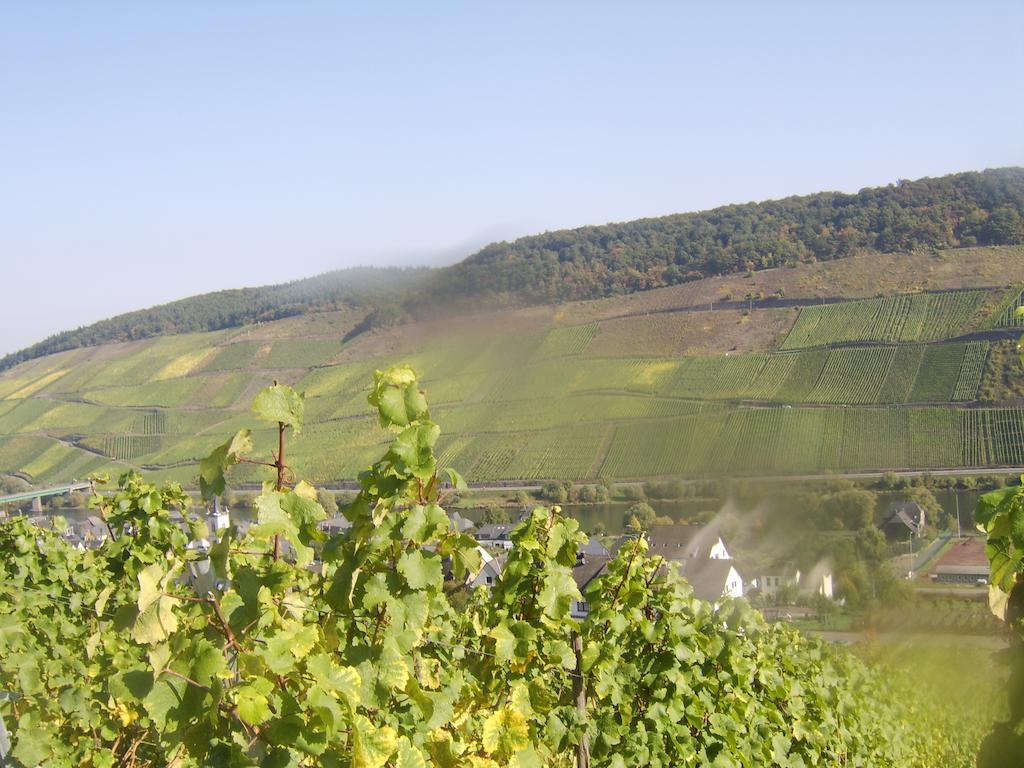 Apartmán Weingut Matthias Dauns Reil Exteriér fotografie