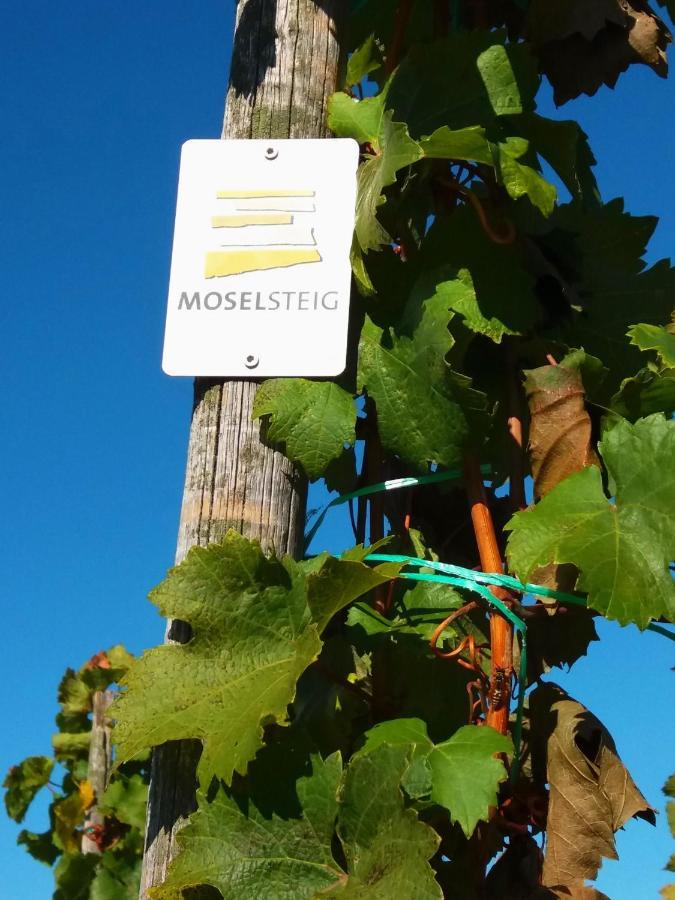 Apartmán Weingut Matthias Dauns Reil Exteriér fotografie
