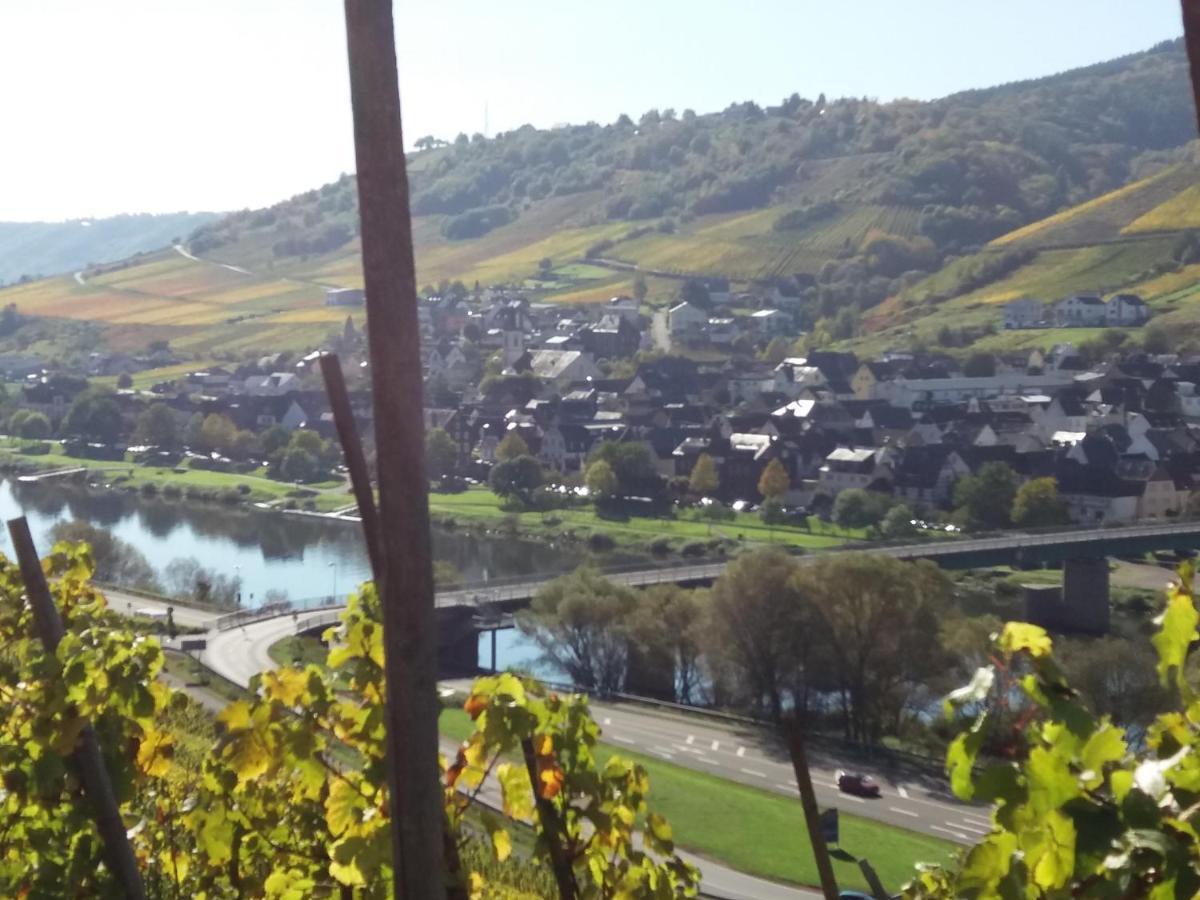 Apartmán Weingut Matthias Dauns Reil Exteriér fotografie